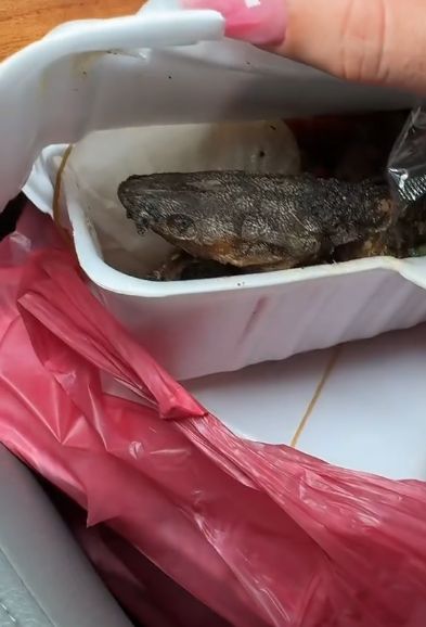 Kocak! Bule Ini Sebut Pecel Lele Sebagai Kadal Goreng