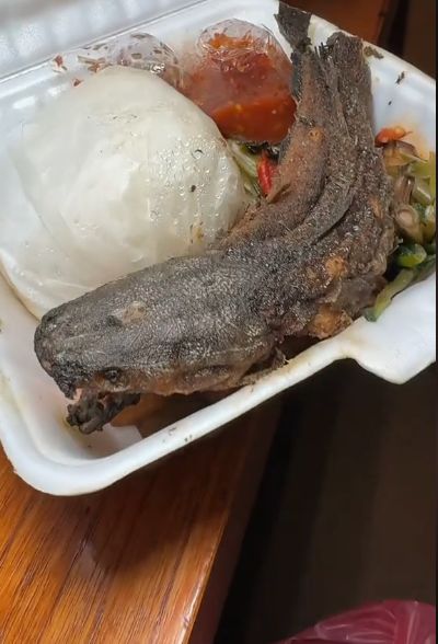 Kocak! Bule Ini Sebut Pecel Lele Sebagai Kadal Goreng