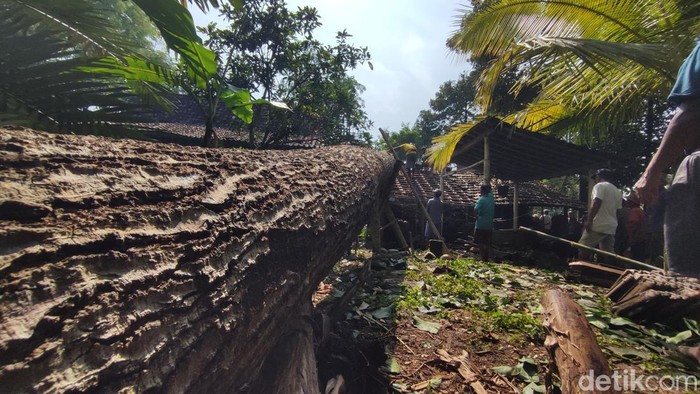 Kondisi pohon sengon yang menimpa rumah warga di Kalibawang, Kulon Progo, Selasa (19/11/2024).