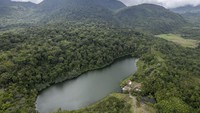 Dengan luas sekitar 12 hektare, danau ini masih mempertahankan keberagaman flora dan fauna langka. Suara kicauan burung dan siamang yang saling bersahutan menambah daya tarik alam.
