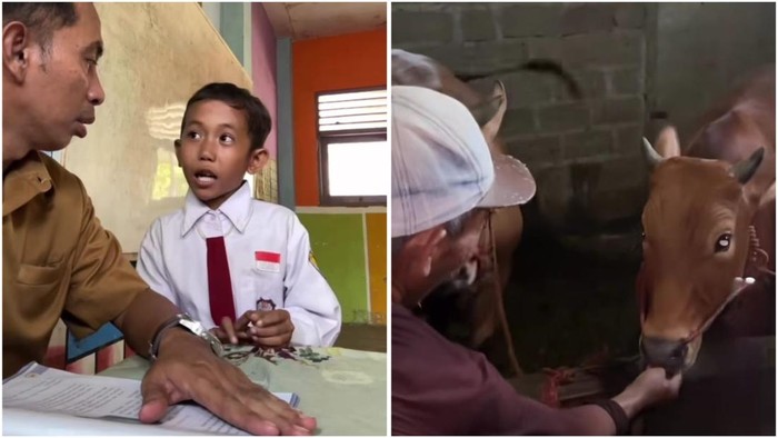 Pak Ribut Debat dengan Siswanya soal Sapi Makan Martabak Viral, Ini Buktinya