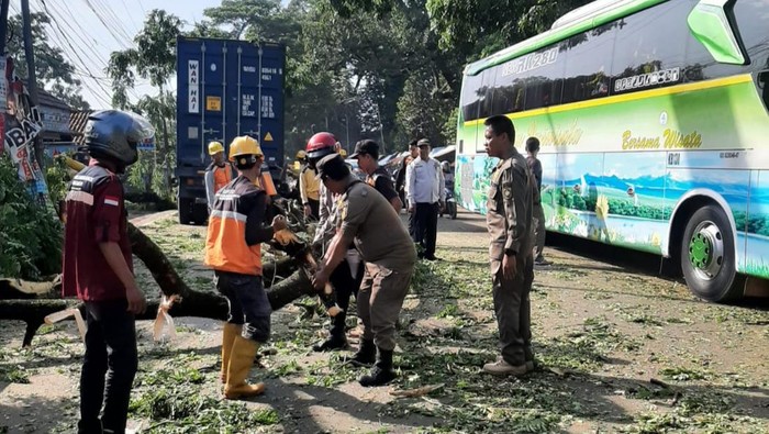 Pohon tumbang di Jalan Transyogi, Jonggol, Bogor sempat bikin jalanan macet