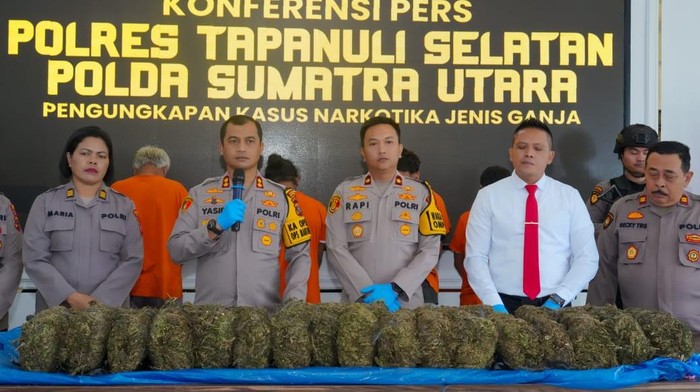 Polres Tapsel saat merilis kasus pengungkapan 22 kg ganja. (Foto: Dok. Polres Tapsel)