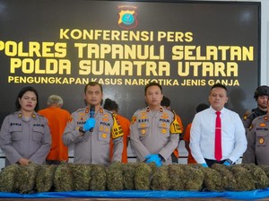 Polisi Cegat Mobil Bawa 22 Kg Ganja di Tapsel, 4 Pelaku Ditangkap
