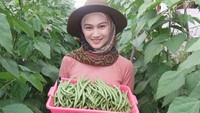 Mulai dari kacang panjang, wortel sampai tomat semuanya berhasil ia tanam di kebunnya. Foto: Instagram @melodylaksani92