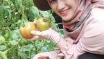 Pose Keren Melody Laksani Eks JKT48 Saat Kulineran dan Menanam Sayuran