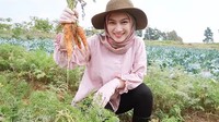 Terakhir ini pose semangat Melody ketika berhasil memanen wortel di kebun. Foto: Instagram @melodylaksani92