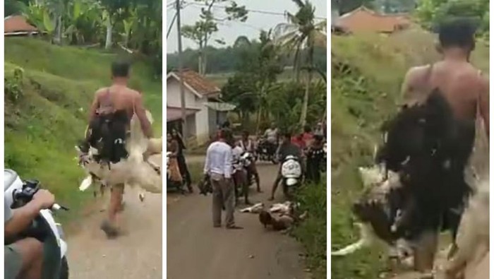 Pria diduga maling unggas di Musi Rawas diarak warga keliling desa