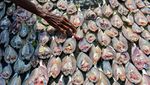 Produksi Ikan Asin di Serang Anjlok!