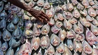 Pekerja menjemur ikan asin di Karangantu Kota Serang, Banten, Selasa (19/11/2024).