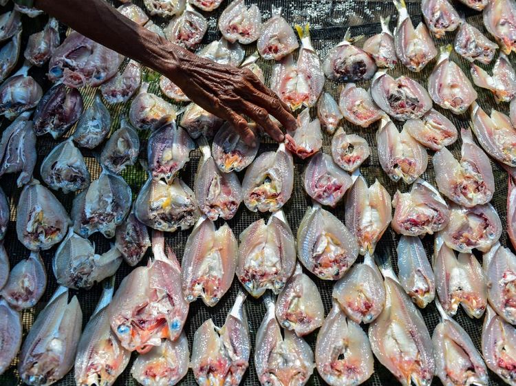 Produksi Ikan Asin di Serang Anjlok!