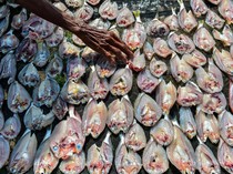 7 Manfaat Ikan Asin untuk Kesehatan yang Jarang Diketahui