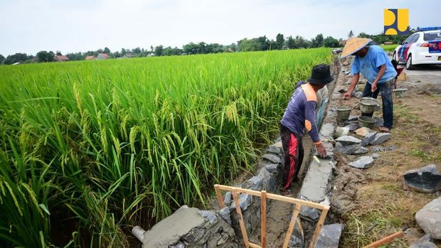 Program Padat Karya Tunai (PKT) Kementerian Pekerjaan Umum untuk swasembada pangan. (Dok. Kementerian PU)