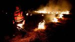 Protes Perjanjian Dagang UE-Amerika Latin, Petani Prancis Bakar Jerami