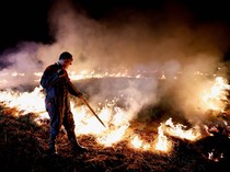 Protes Perjanjian Dagang UE-Amerika Latin, Petani Prancis Bakar Jerami