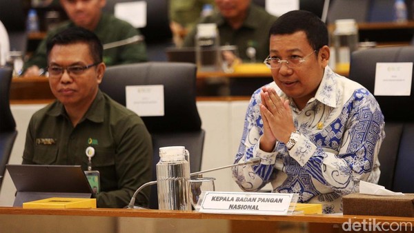 Rapat dengan DPR, Bapanas Minta Tambahan Rp 31 T buat Bansos Beras-Telur