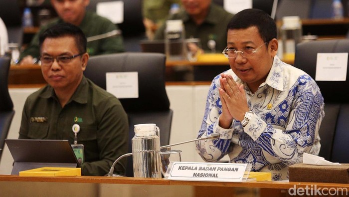Kepala Badan Pangan Nasional (Bapanas) Arief Prasetyo Adi menghadiri rapat di Komisi IV DPR, Selasa (19/11/2024). Dalam rapat itu Bapanas mengusulkan tambahan anggaran Rp 31 triliun pada 2025.