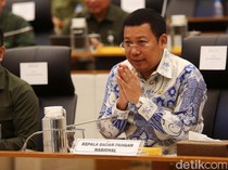 Rapat dengan DPR, Bapanas Minta Tambahan Rp 31 T buat Bansos Beras-Telur
