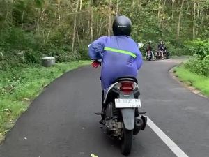 Fenomena Serbuan Ulat Jati di Gunungkidul: Bikin Geli tapi Bisa Jadi Cuan
