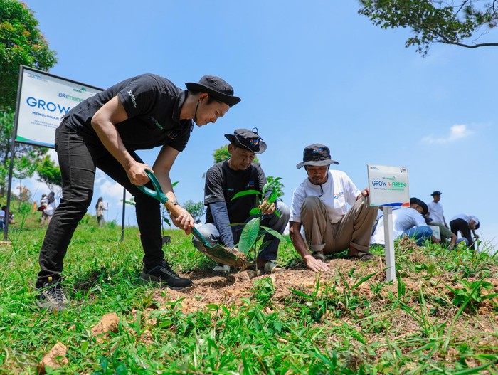 Sumbangsih BRI untuk lingkungan