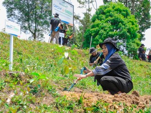 Gaet Kelompok Tani, BRI Menanam-Grow & Green Pulihkan Hutan Bekas Tambang