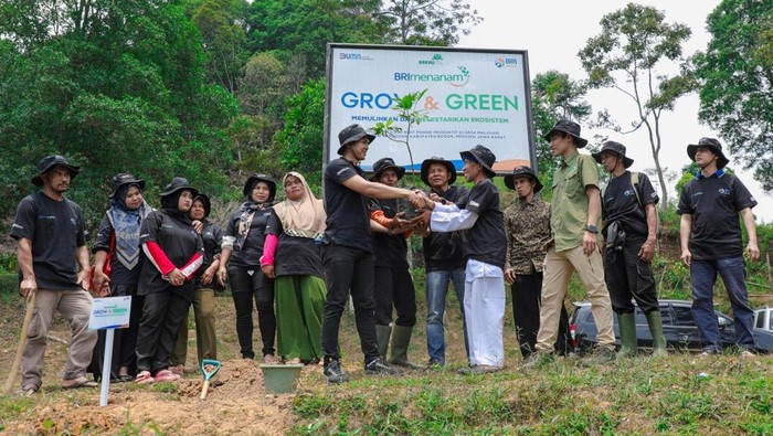 Sumbangsih BRI untuk lingkungan