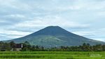 Wisata Pegunungan dengan Pemandangan Kebun Teh di Gunung Dempo