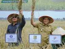Ragam Upaya Pemkab Tingkatkan Produktivitas Pertanian di Sergai