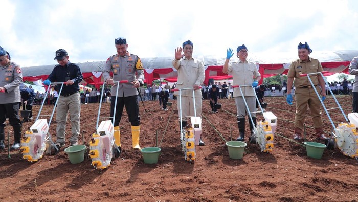 64.875 kg benih jagung ditanam di Banten guna mendukung program swasembada pangan Presiden Prabowo Subianto