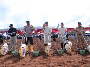 64 Ribu Kg Benih Jagung Ditanam di Banten untuk Program Swasembada Pangan
