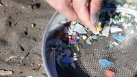 Ia mendapatkan ide tersebut setelah ikut serta dalam kegiatan bersih-bersih masyarakat di sepanjang pantai.  