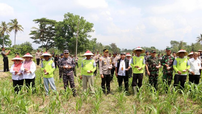 Aksi pemupukan lahan jagung yang digelar Polresta Banyuwangi