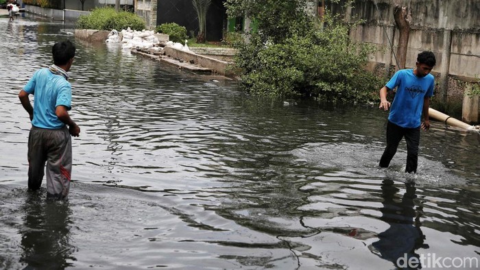 Banjir rob menggenangi Pelabuhan Muara Baru, Jakarta Utara, Rabu (20/11/2024).