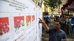 Begini Lho.. Tahapan Pemungutan Suara Pilgub Jakarta
