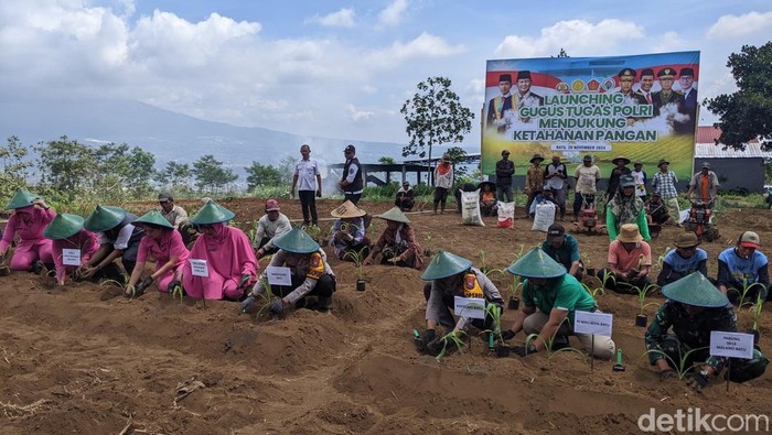 Forkopimda Kota Batu bersama kelompok tani setempat melakukan penanaman bibit jagung dilahan tidur