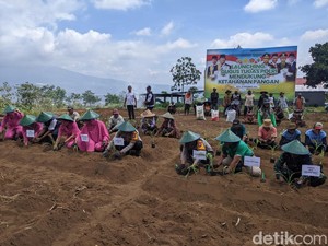 Lahan Tidur di Kota Batu Diaktifkan untuk Program Ketahanan Pangan