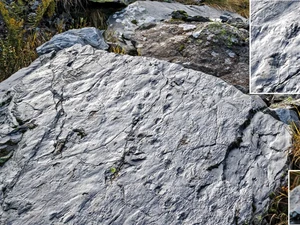 Tak Sengaja Injak Batu, Pendaki Temukan Dunia Purba Berusia 280 Tahun