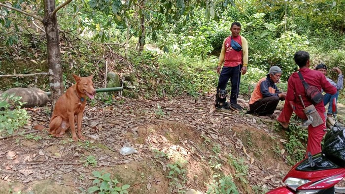 Kades di Trenggalek pakai uang dana desa untuk beli anjing pemburu