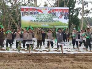 Lahan Seluas 50 Hektare di Babel Ditanami Palawija dan Sayuran