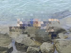 Terungkap Identitas Jasad Kepala Tak Utuh di Pantai Lampung