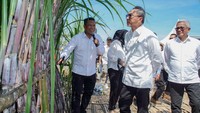 Menteri Koordinator Bidang Pangan Zulkifli Hasan meninjau varietas tebu unggulan sekaligus menanam tebu perdana untuk memulai Program Manis.