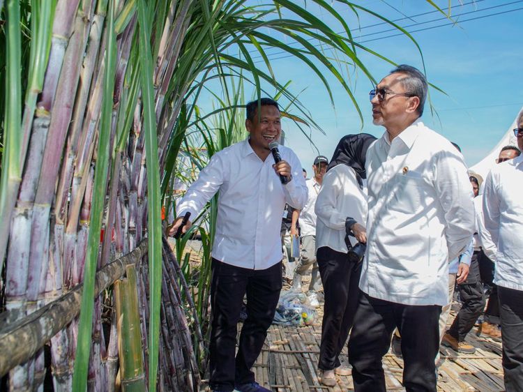 Mengintip Penanaman Tebu Perdana demi Swasembada Gula