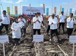 Program Manis Swasembada Gula Digelar Sejumlah Kementerian di Lumajang