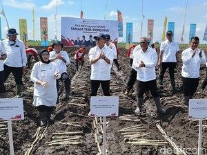 Program Manis Swasembada Gula Digelar Sejumlah Kementerian di Lumajang