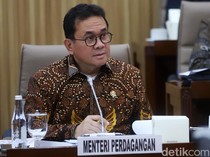 Mendag Ungkap Alasan Longgarkan Impor 441 Produk Kehutanan