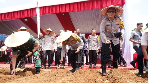 Polda Metro Jaya menanam sayur di lahan tidur seluas 15 hektare di Cigombong, Bogor.