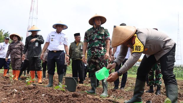 Polres Jakbar bersama Forkopimko Jakarta Barat menanam bibit palawija di lahan 1,5 hektare untuk mendukung program swasembada pangan.