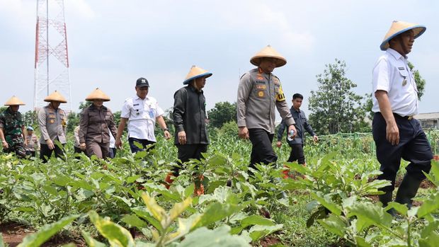 Polres Jakbar bersama Forkopimko Jakarta Barat menanam bibit palawija di lahan 1,5 hektare untuk mendukung program swasembada pangan.