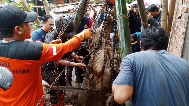 Proses evakuasi sapi betina terperosok ke sumur kedalaman sekitar 10 meter di Desa Purbadana, Kecamatan Kembaran, Kabupaten Banyumas, Rabu (20/11/2024).