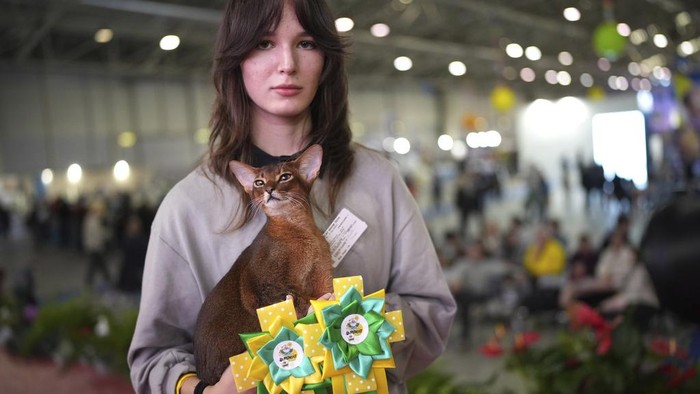 Pameran SuperCat tahunan digelar di Roma. Acara ini menghadirkan ras-ras kucing paling eksotis dan langka di dunia, bersaing untuk mendapatkan hadiah.
